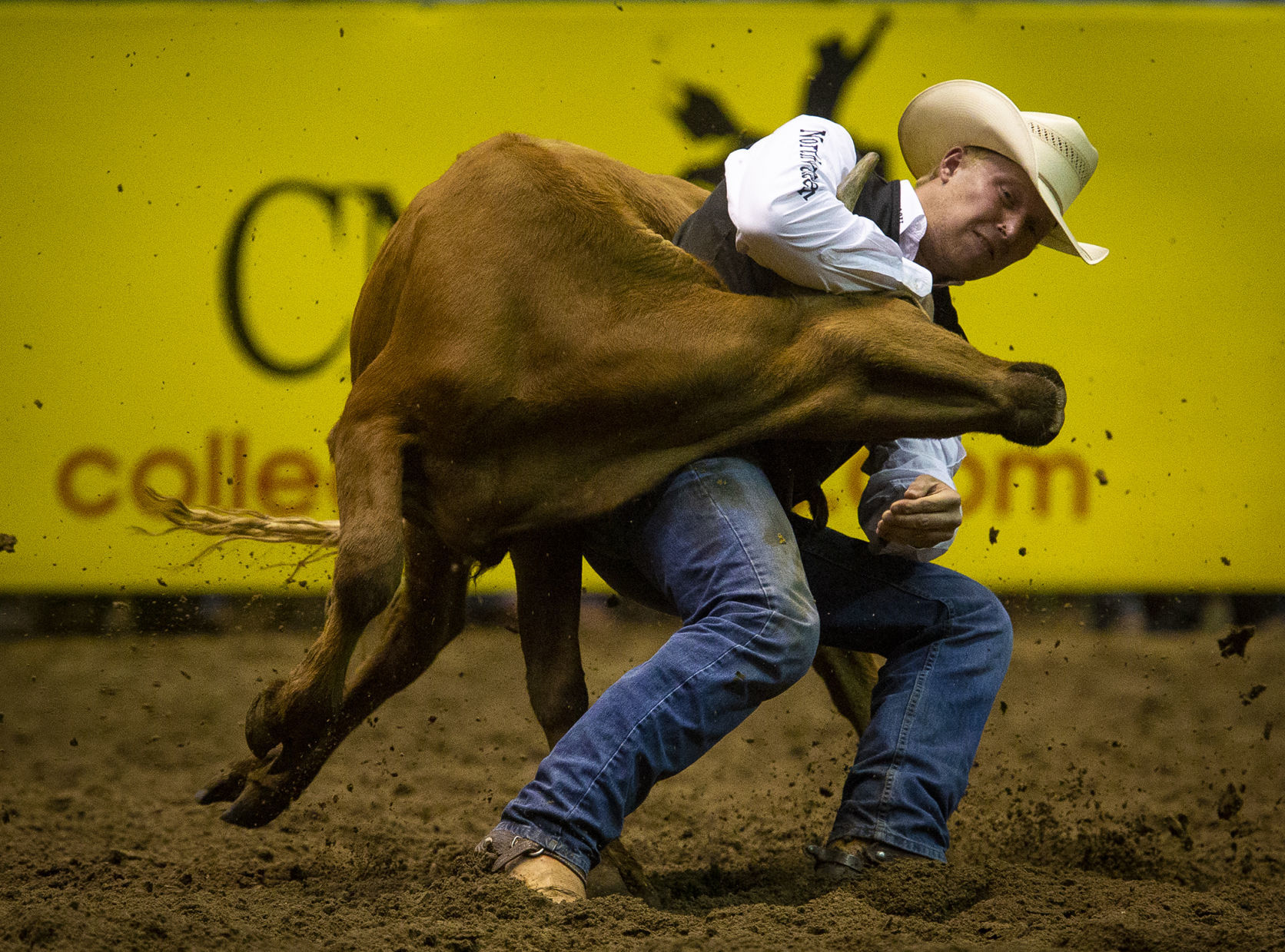 CNFR Wednesday